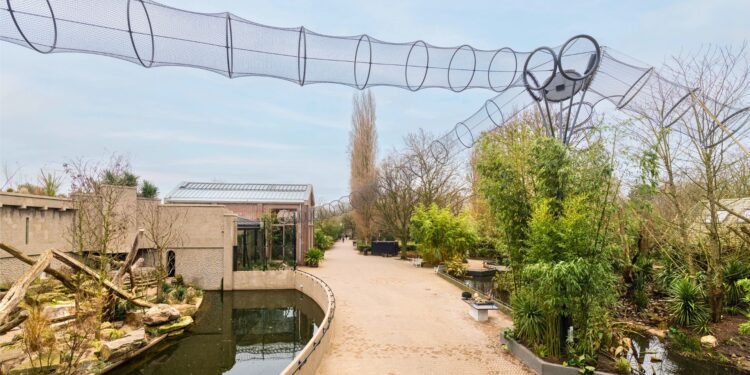 Beeld: Christiaan de Bruijne