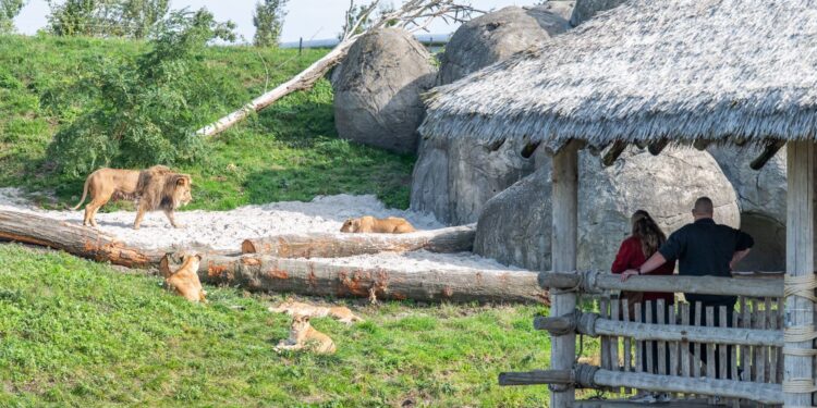 Beeld: Aly Jeuring e.a.