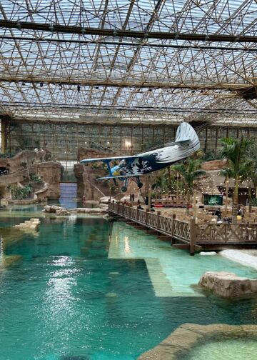 Belgische dierentuin opent grootste tropische kas ter wereld: dit is Edenya