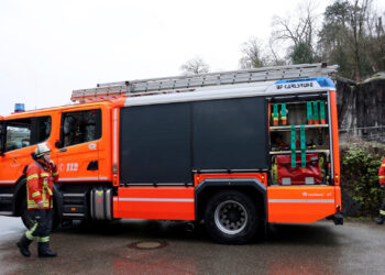 IJsberen zitten vast in bassin van Duitse dierentuin: brandweer opgeroepen