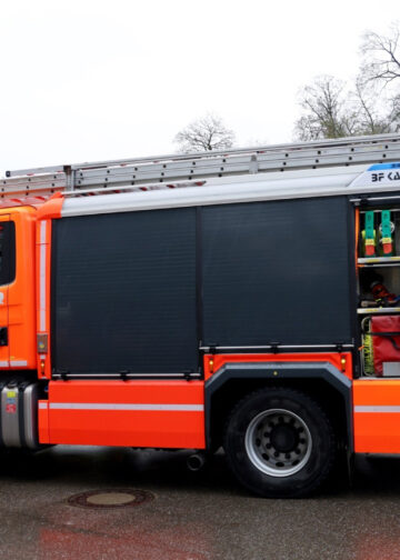IJsberen zitten vast in bassin van Duitse dierentuin: brandweer opgeroepen