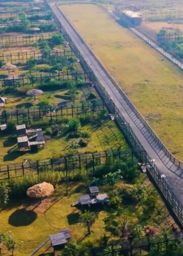 Klap voor omstreden privédierentuin Vantara: importbelasting op dieren verhoogd