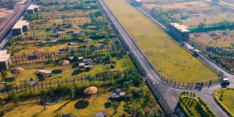 Beeld: Forrest Galante