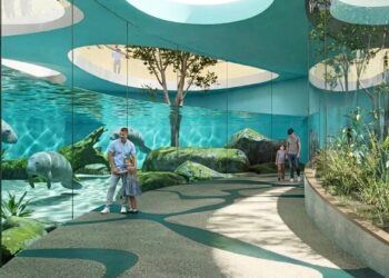 Ontwerpen onthuld van groot dierentuinproject in Polen: 28,5 miljoen euro