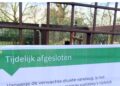 Diergaarde Blijdorp grijpt in bij wallabyverblijf door grote drukte