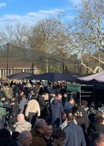 Diergaarde Blijdorp grijpt in bij wallabyverblijf door grote drukte