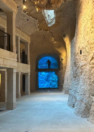 Dit zit er onder de grond in Edenya, de grootste tropische kas ter wereld