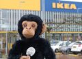 Diergaarde Blijdorp gaat samenwerking aan met IKEA