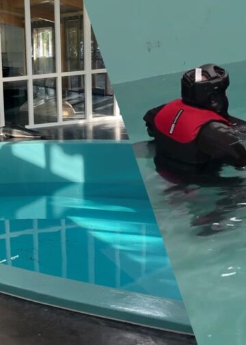 Levende dolfijn belandt in dierenpark in Noord-Holland