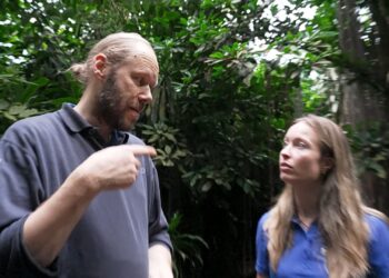 Burgers’ Zoo-dierverzorger weigert tegen aardvarkens te praten