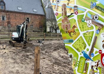 Pairi Daiza sloopt grote roofvogelvolière: nóg meer plek voor paarden