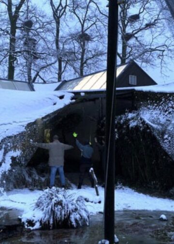 Steltlopers ontsnapt door ingestort verblijf in Duitse dierentuin