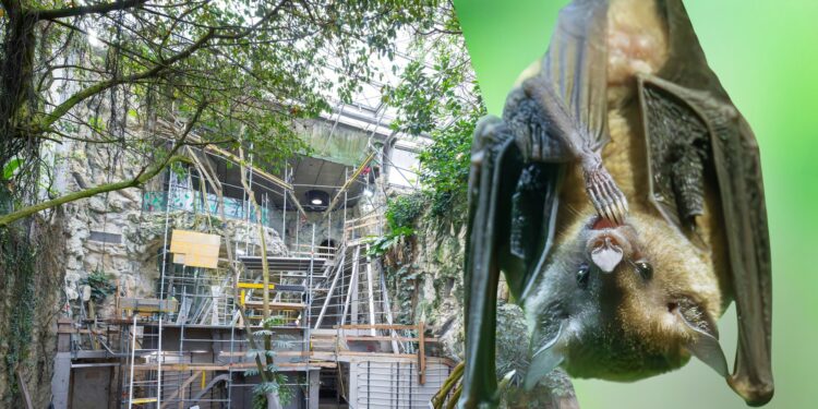 Beeld: Daniel Zupanc