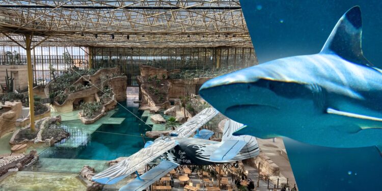 Afbeelding ter illustratie