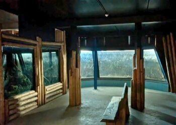 AquaZoo Leeuwarden vernieuwt aquaria: piranha’s en roggen verdwenen