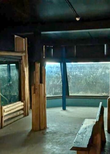 AquaZoo Leeuwarden vernieuwt aquaria: piranha’s en roggen verdwenen