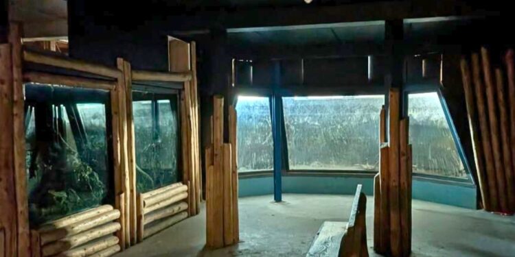 Beeld: Menno Pebesma