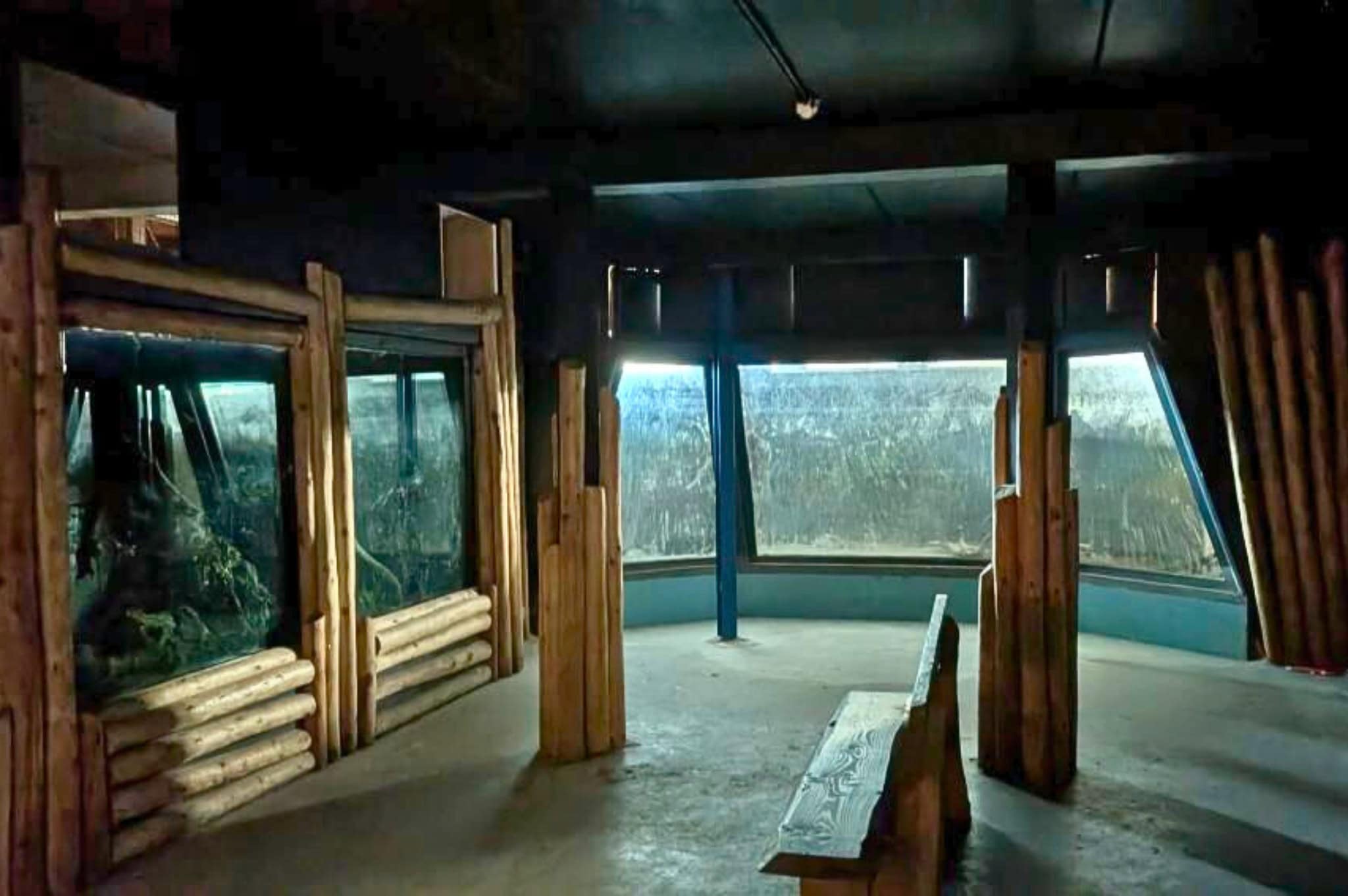 AquaZoo Leeuwarden vernieuwt aquaria: piranha’s en roggen verdwenen