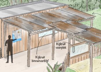 Dierentuin in Gelderland werkt aan nieuw dierverblijf en themagebied