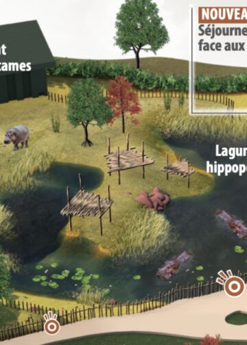 Plannen voor nijlpaardenhotelkamers in Frankrijk: bouw gestart