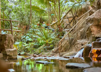 Center Parcs verwijdert alle vogels uit grote junglehal vanwege vogelgriep