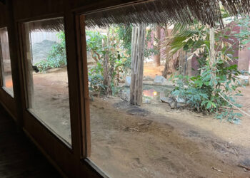 Blijdorp stelt verborgen plekken open voor bezoekers tijdens voorjaarsvakantie