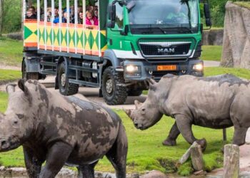 Tien jaar Wildlands Emmen: dit veranderde er in het park