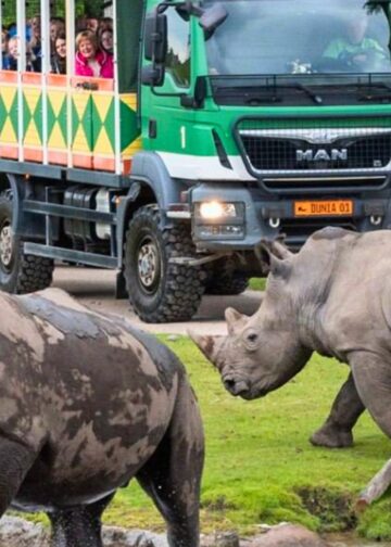 Tien jaar Wildlands Emmen: dit veranderde er in het park