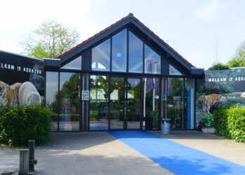 Friese dierentuin waarschuwt hondenbezitters bij ingang