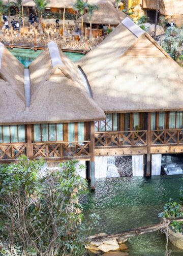 Twee diersoorten weggehaald uit megakas Edenya in Pairi Daiza: sterfgevallen