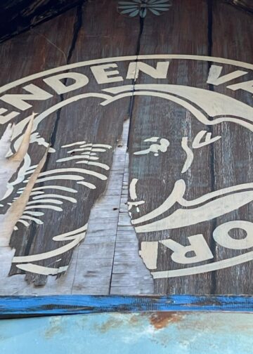 Blijdorp-fanclub ziet donaties dalen en honderden leden vertrekken