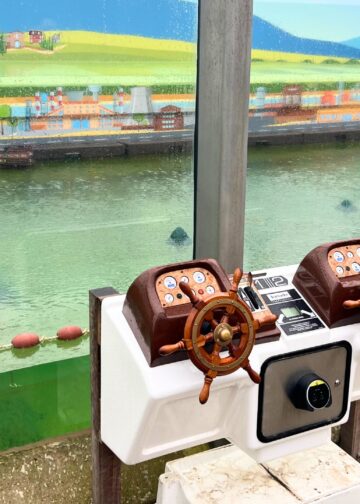 Leeg zeehondenverblijf is nu een attractie in Noord-Hollands aquarium