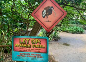 Wildlands sluit deel van grote tropenhal Rimbula: vermoeden van vogelgriep