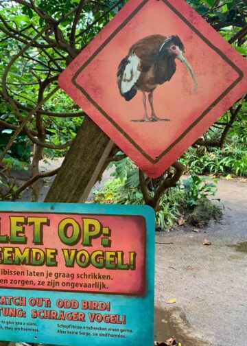 Wildlands sluit deel van grote tropenhal Rimbula: vermoeden van vogelgriep