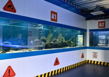 Wildlands Emmen sluit Nortica Aquarium: nieuwe invulling niet bekend