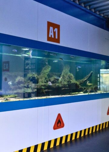 Wildlands Emmen sluit Nortica Aquarium: haaien en roggen weg