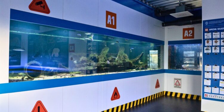 Beeld: Wildlands Blog e.a.