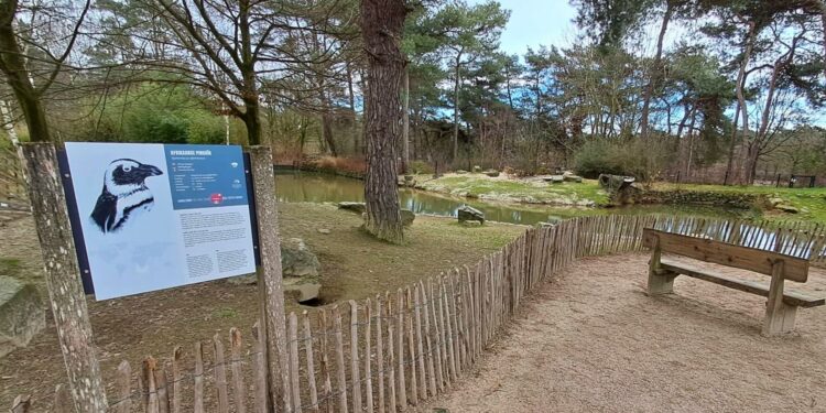 Beeld: Loek Fotografie