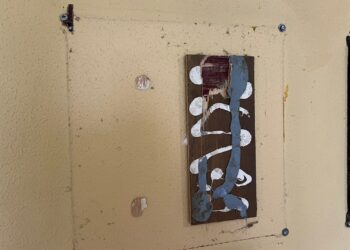 Oude borden gestolen uit Diergaarde Blijdorp: dief op heterdaad betrapt