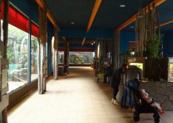 Vingerdieren keren terug in de dierentuin van Berlijn