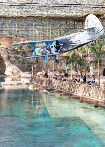 Pairi Daiza wil nog meer dieren in megakas Edenya: apen, antilopen en arowana’s