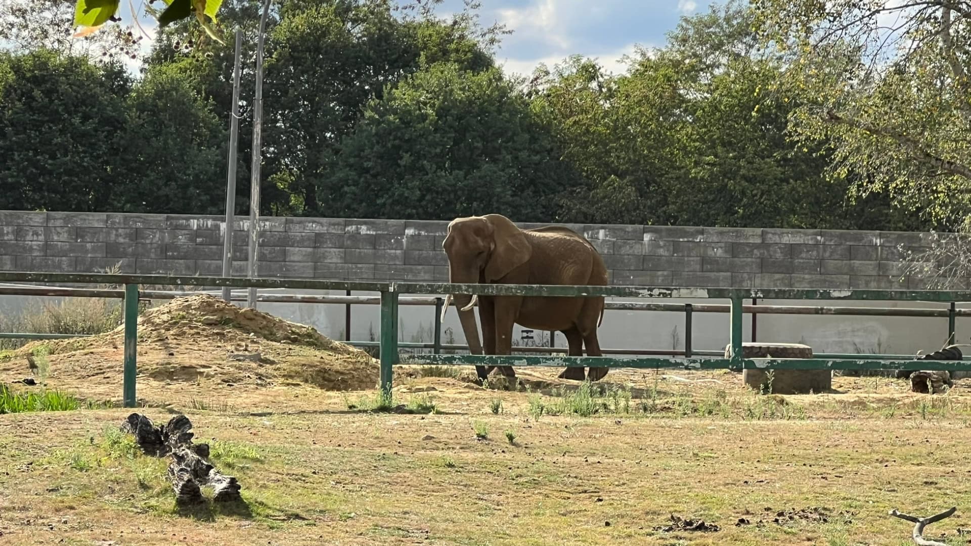 Minister dreigt met sluiting van grote dierentuin in België: dierwelzijnsproblemen in Pakawi Park