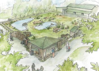 Nieuw Zuid-Amerika-verblijf in aanbouw bij Engelse dierentuin