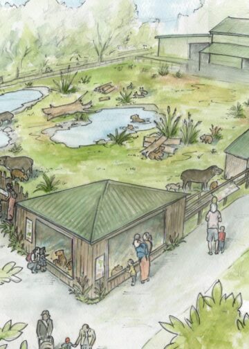 Nieuw Zuid-Amerika-verblijf in aanbouw bij Engelse dierentuin