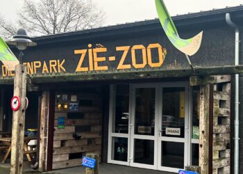 Geen nachtdierenhuis, maar golfbaan in kelder van Brabants dierenpark