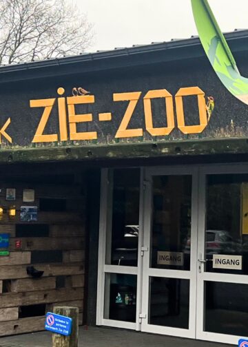 Geen nachtdierenhuis, maar golfbaan in kelder van Brabants dierenpark