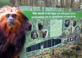 Noord-Hollands dierenpark gaat 1 miljoen euro investeren: uitbreiding tropische kas en apeneilanden