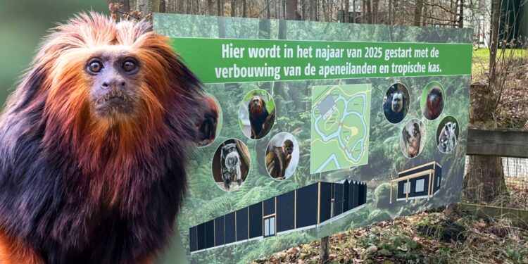 Beeld: Joost Ridder e.a.