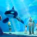Tien jaar na ingrijpend besluit: aantal orka’s in SeaWorld fors gezakt