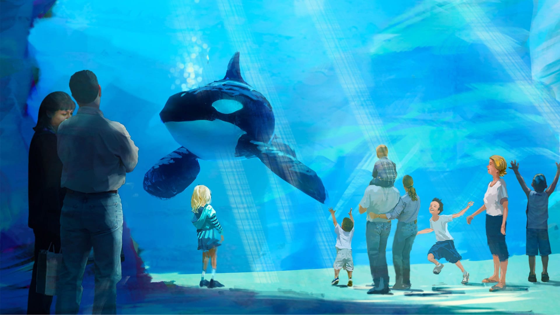 Tien jaar na ingrijpend besluit: aantal orka’s in SeaWorld fors gezakt